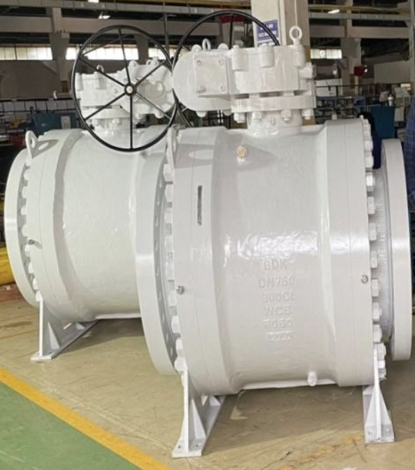 Screen Shot 2025-08-08 at 11.45.25 AM